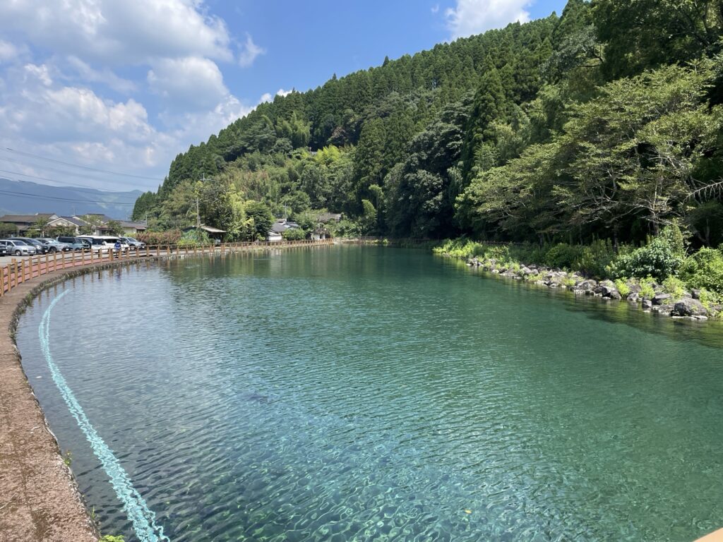 クロエ様】流しそうめん 生竹 天然 脚なし 7m
